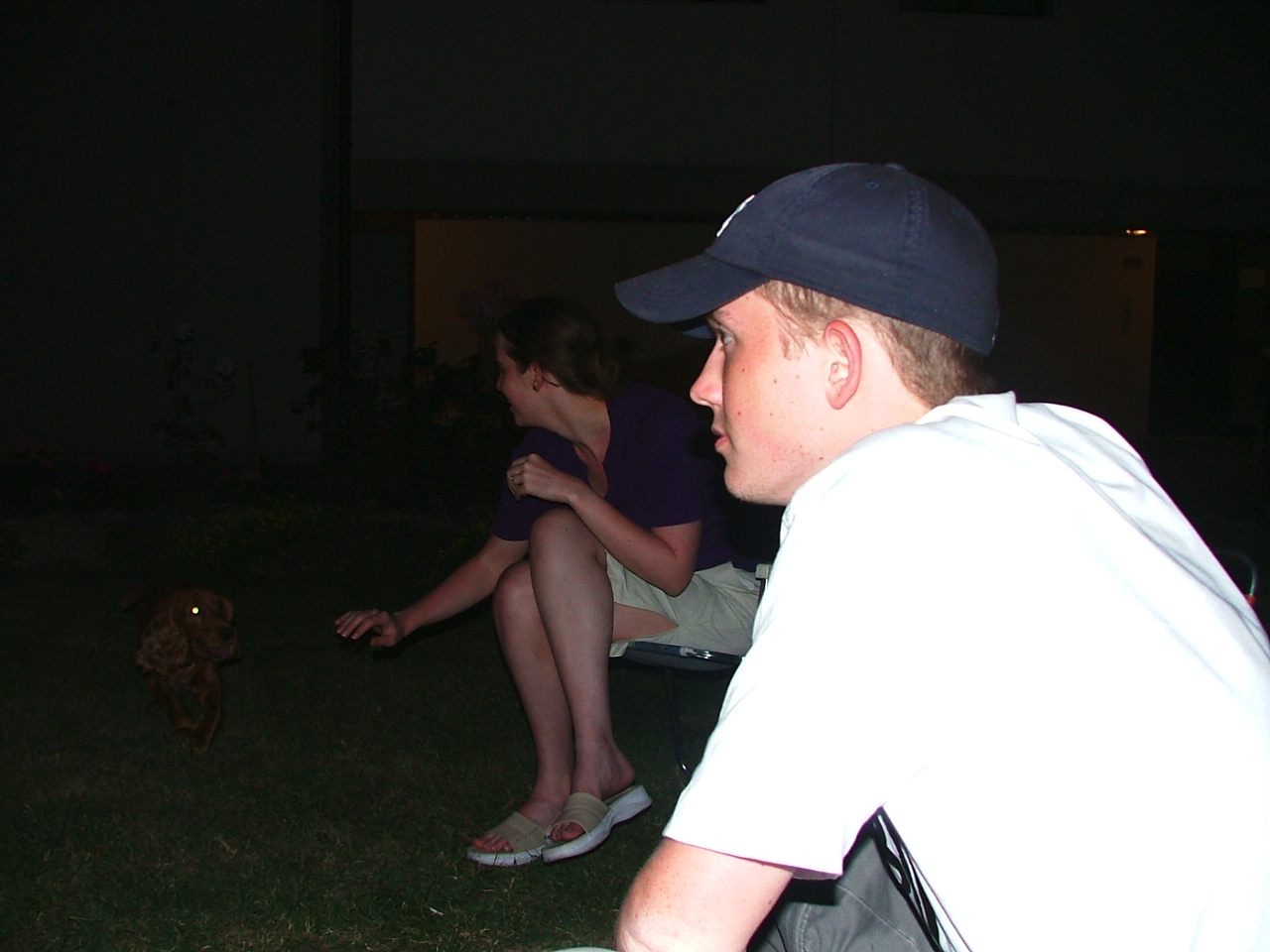 2004_0712Image0175 Dog in Wax.JPG